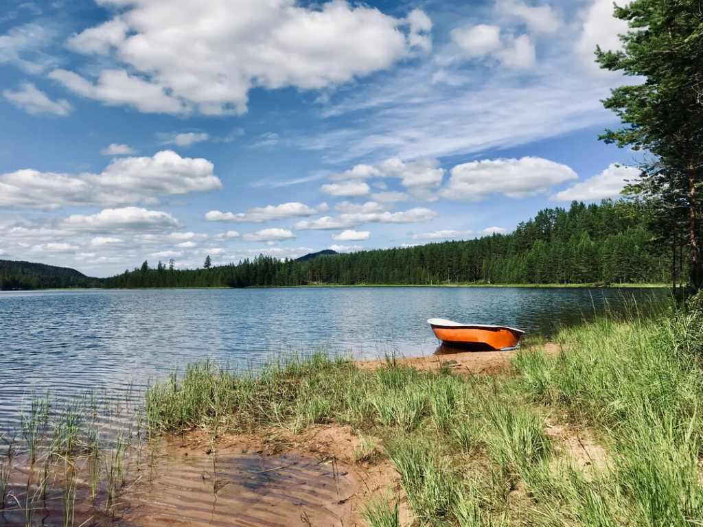 In Schweden gibt es Seen, wie Sand am Meer. Genießen Sie den Angelspaß, der Ihnen dort geboten wird.