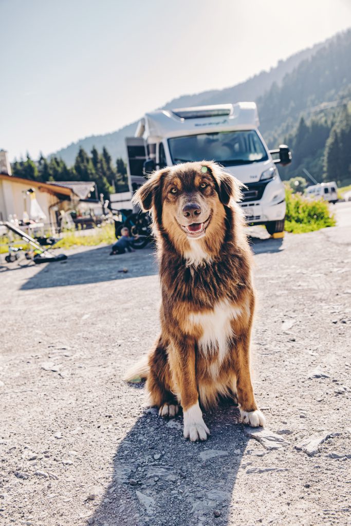 Camping Italien mit Hund