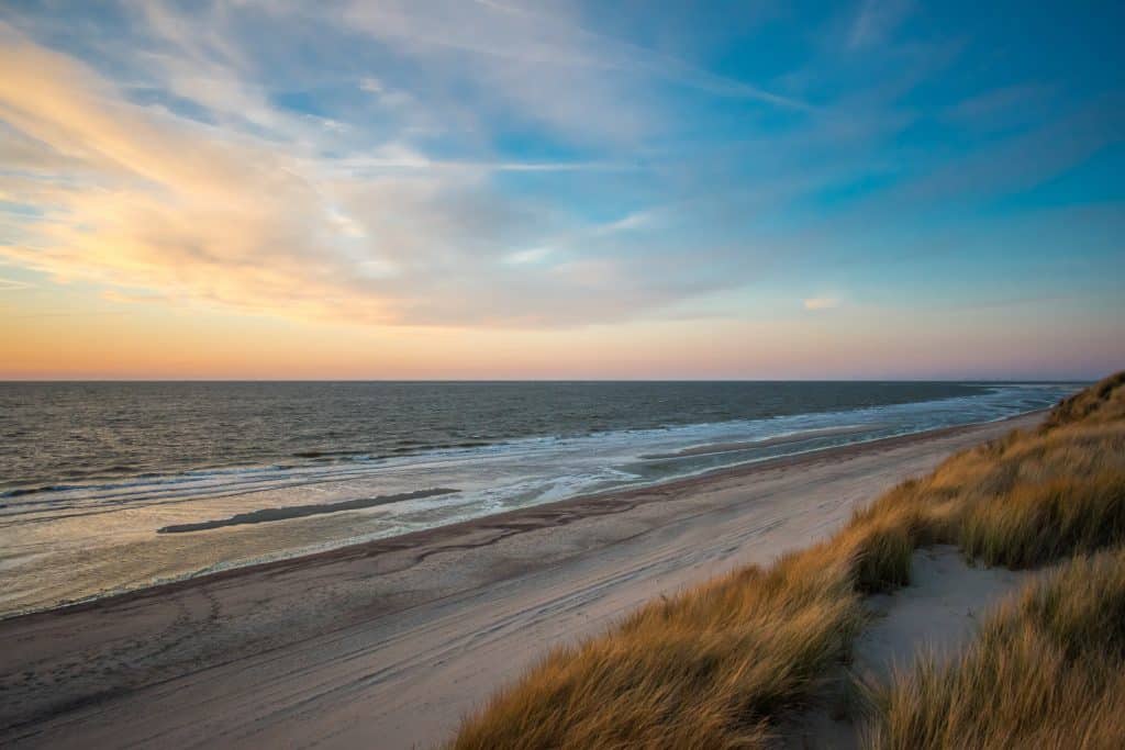 Camping Holland am Meer - Sandstrand mit Gräsern und dem Meer