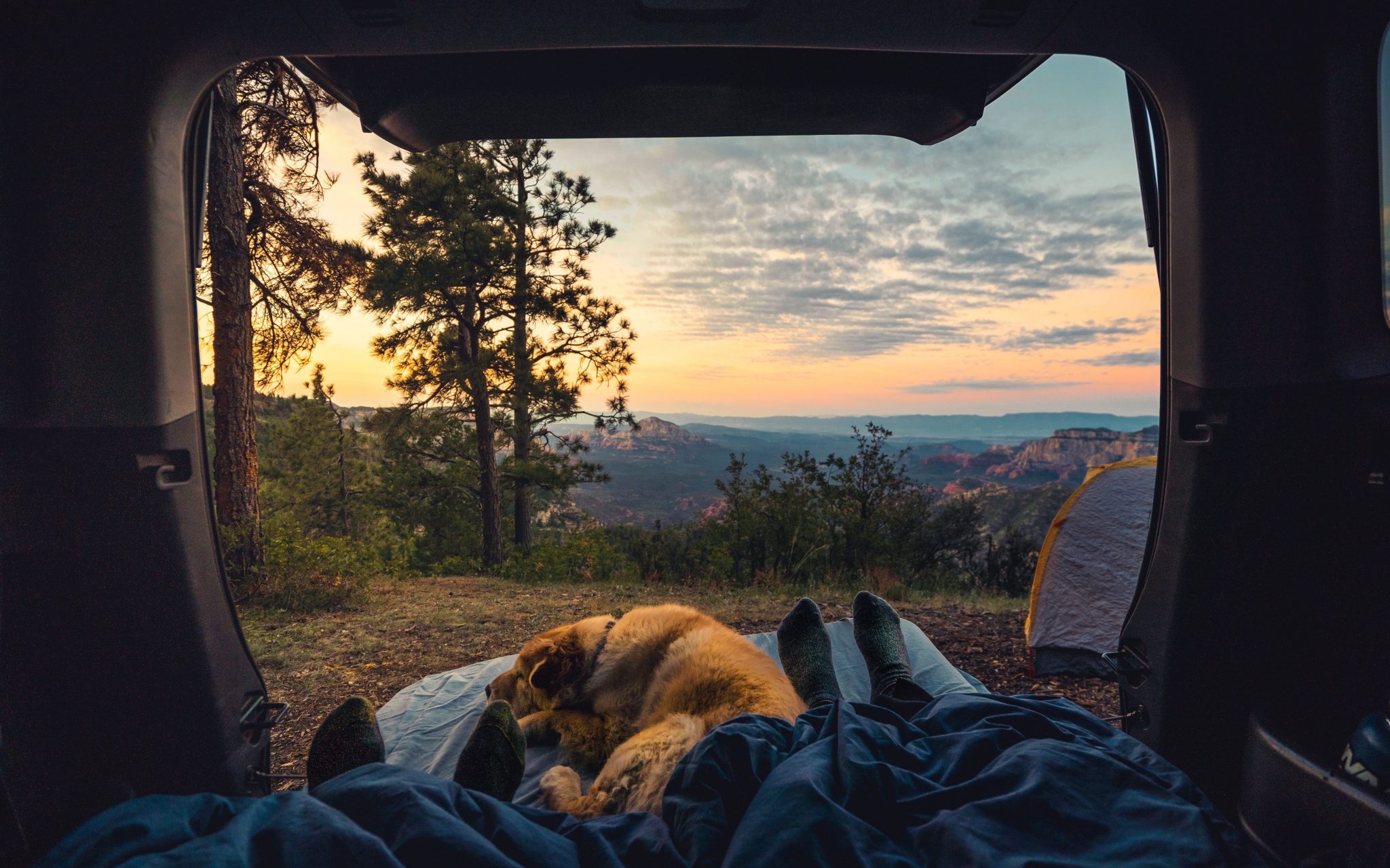 Camping auf Privatgrundstück - Blick aus einem Zelt auf einen Sonnenuntergang