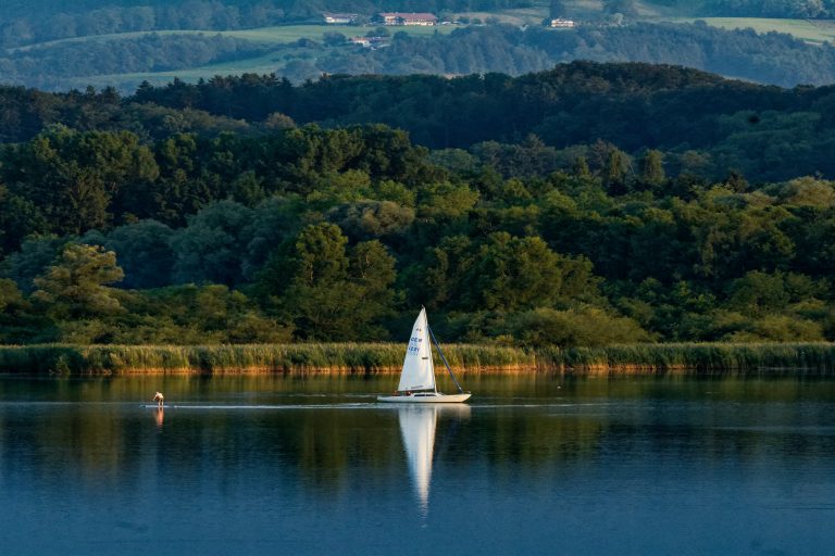 Segelboot auf einem stillen See vor einem Wald