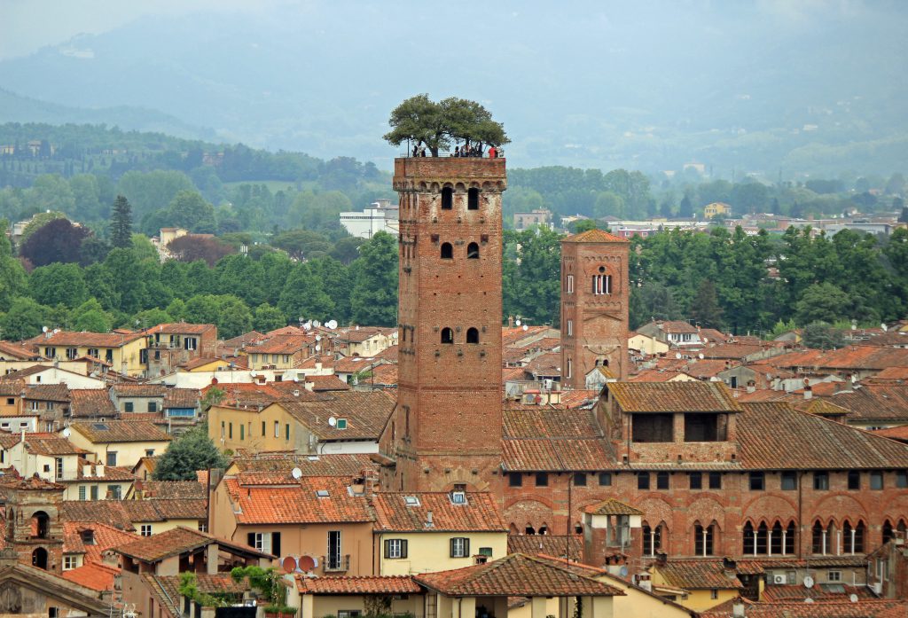 Blick auf die Dächer von Lucca und den Turm auf dem Bäume wachsen