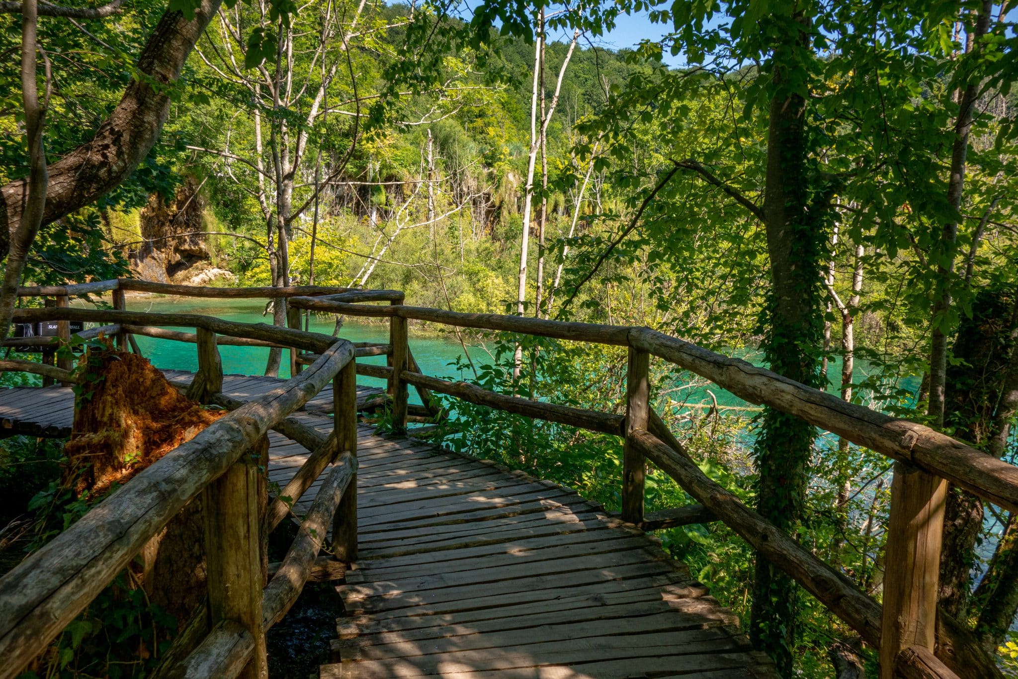 Holzbrücke durch Wald