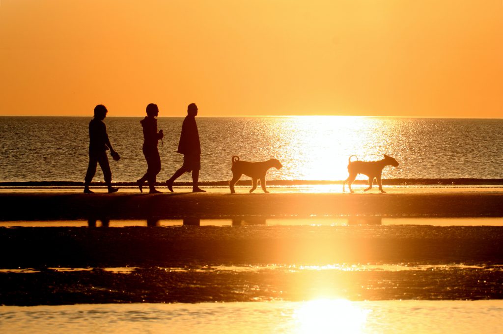 Familie geht mit Hunden beim Sonnenuntergang am Strand spazieren