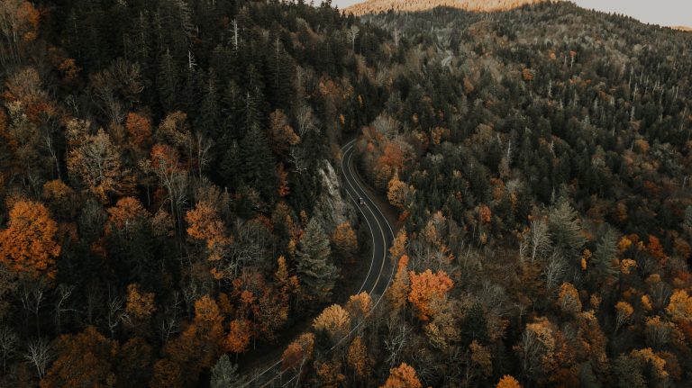 Reiseziele Oktober - Herbstlicher Wald