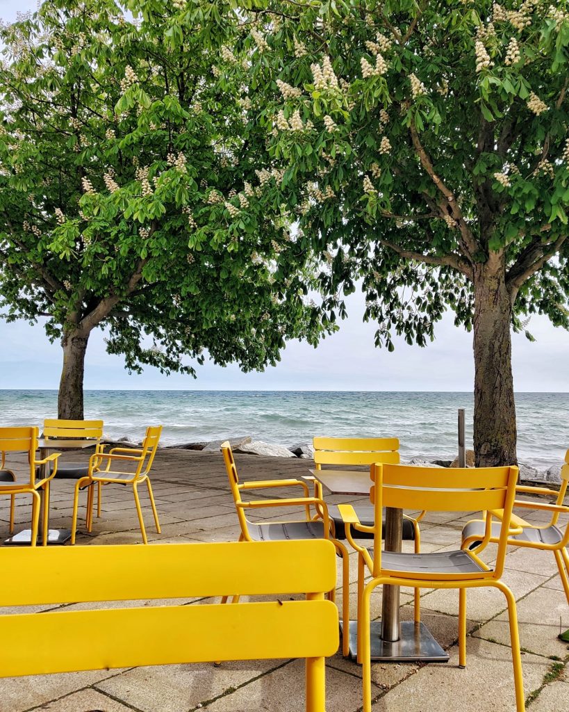 Café mit gelben Stühlen im Hintergrund sind Bäume und das Meer