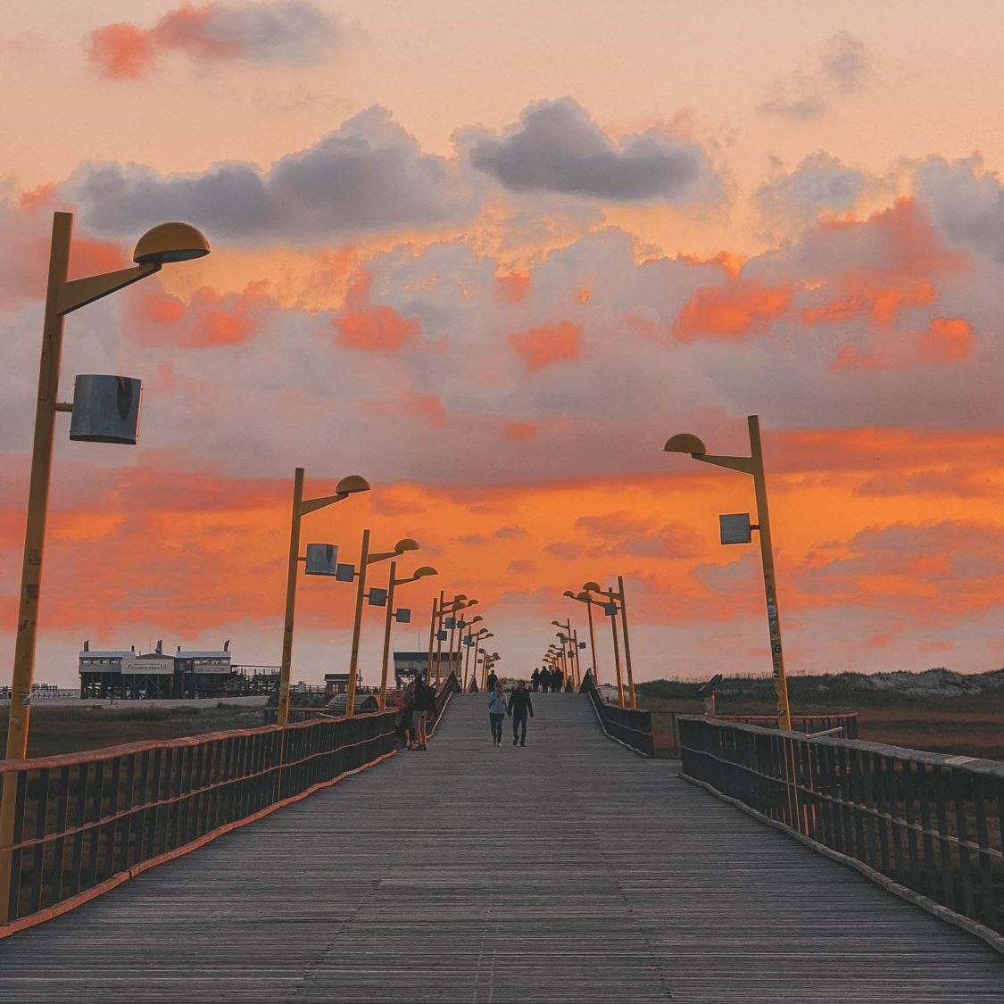 Holzsteg am Strand bei einem pink, orangenen Sonnenuntergang
