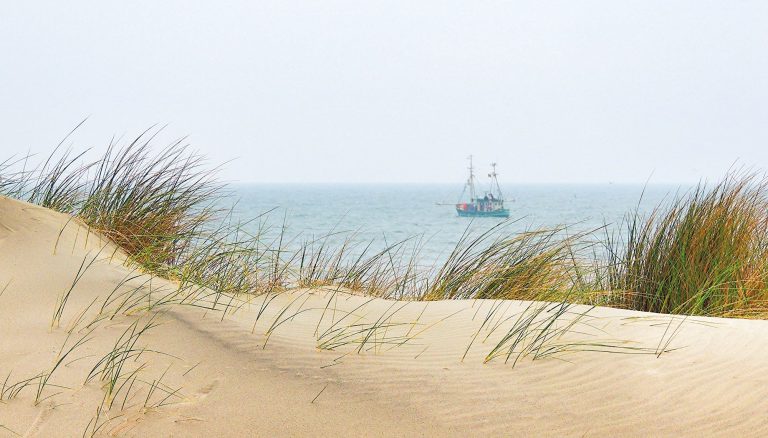 Deutschland Sommerferien 2023 - Sandstrand mit Gräsern im Hintergrund das Meer