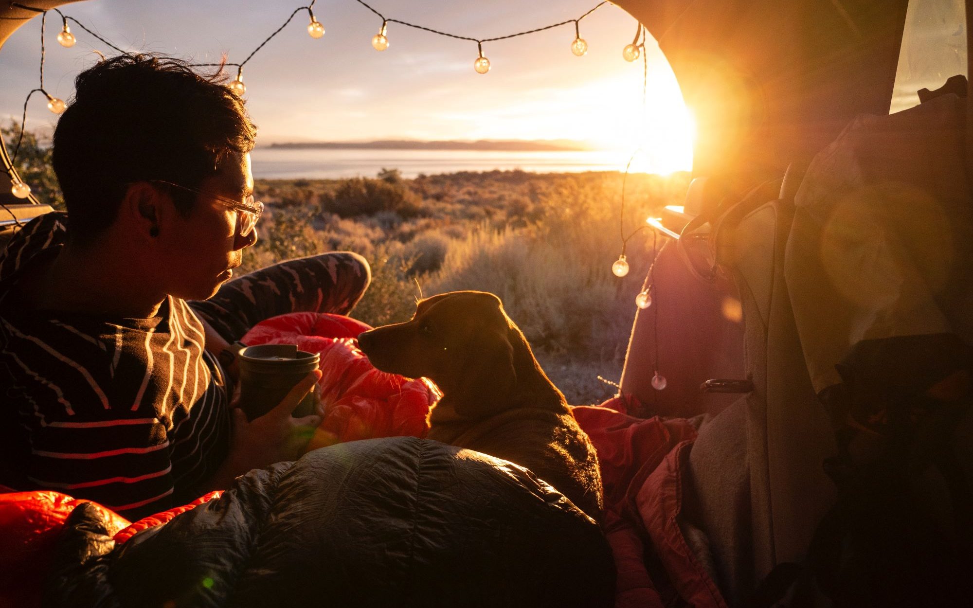 Mann mit Brille und Hund im Zelt bei Sonnenuntergang mit Blick auf das Meer