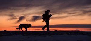 Camping mit Hund - Mann lÃ¤uft mit Hund bei Sonnenuntergang Weg entlang