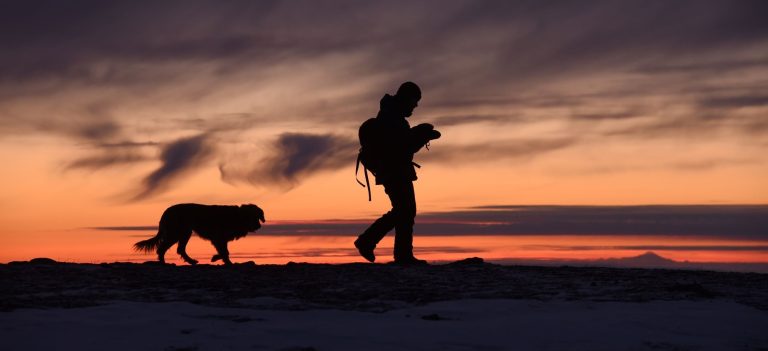 Camping mit Hund - Mann läuft mit Hund bei Sonnenuntergang Weg entlang