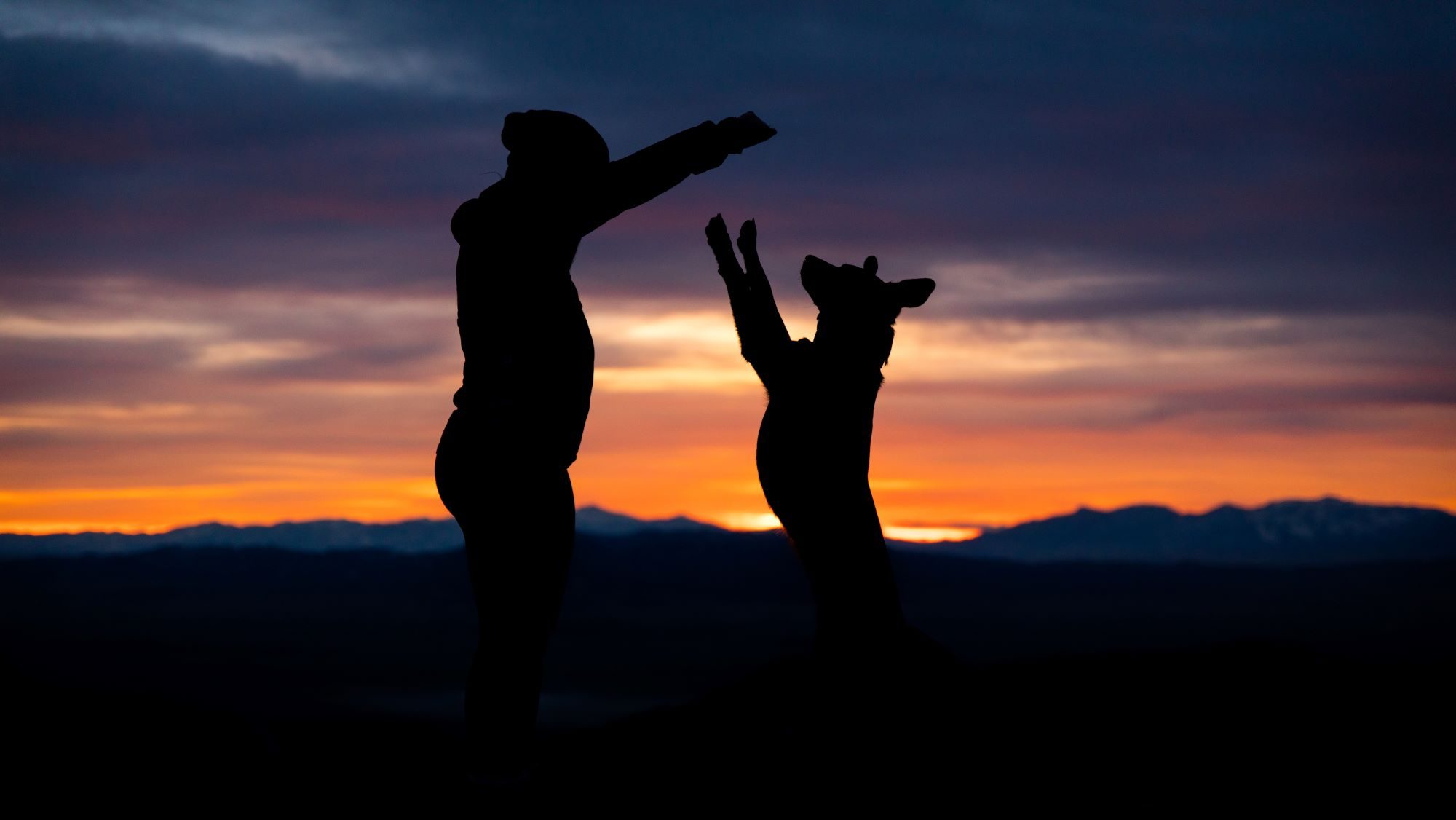 Camping mit Hund - Frau spielt mit Hund bei Sonnenuntergang. 