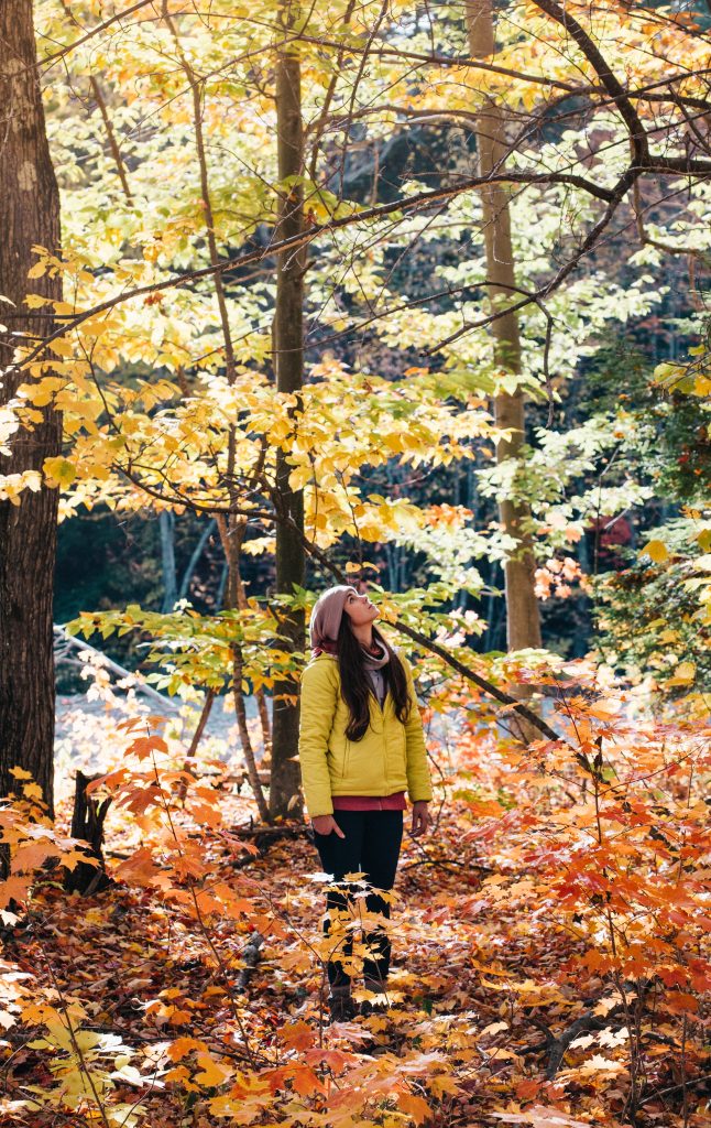 Camping im Herbst - Frau steht in einem Wald voll mit orangen, roten und braunen Blättern.