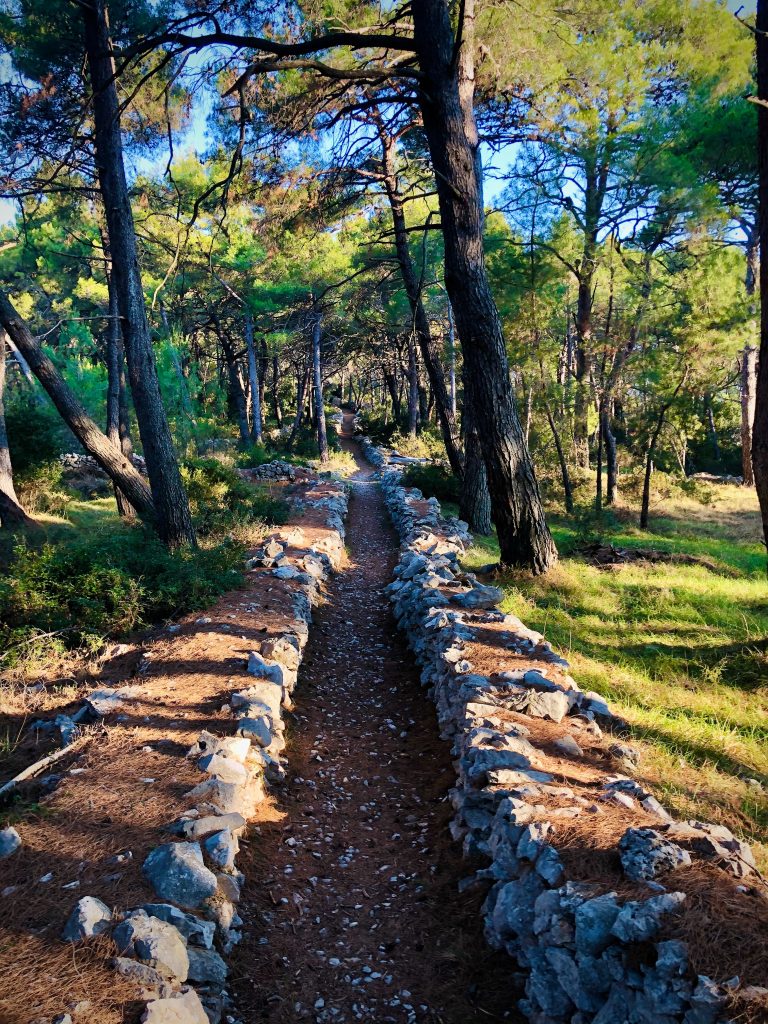 Glamping Kroatien - Steinpfad durch einen Pinienwald