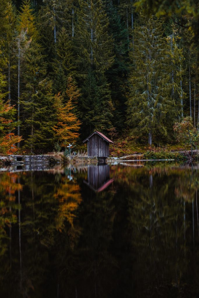 Camping im Herbst - Kleines Haus an einem See im Schwarzwald 
