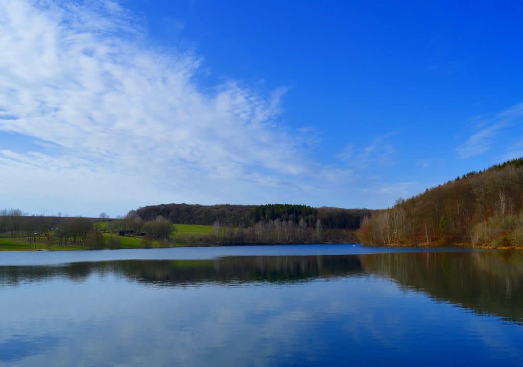 Ausblick auf einen See mit Bäumen und Wald am Ufer.