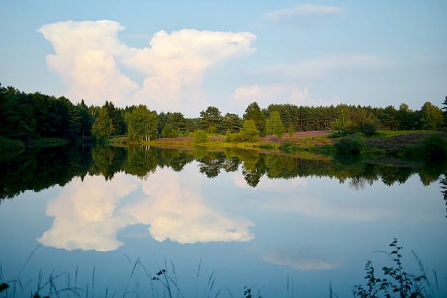 Camping Angeln direkt am Wasser - Blick auf die Landschaft der Lüneburger Heide.