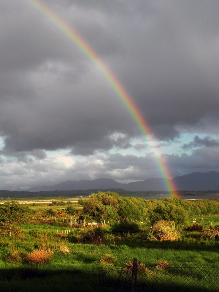 Regenbogen über einer grünen Wiese in Irland