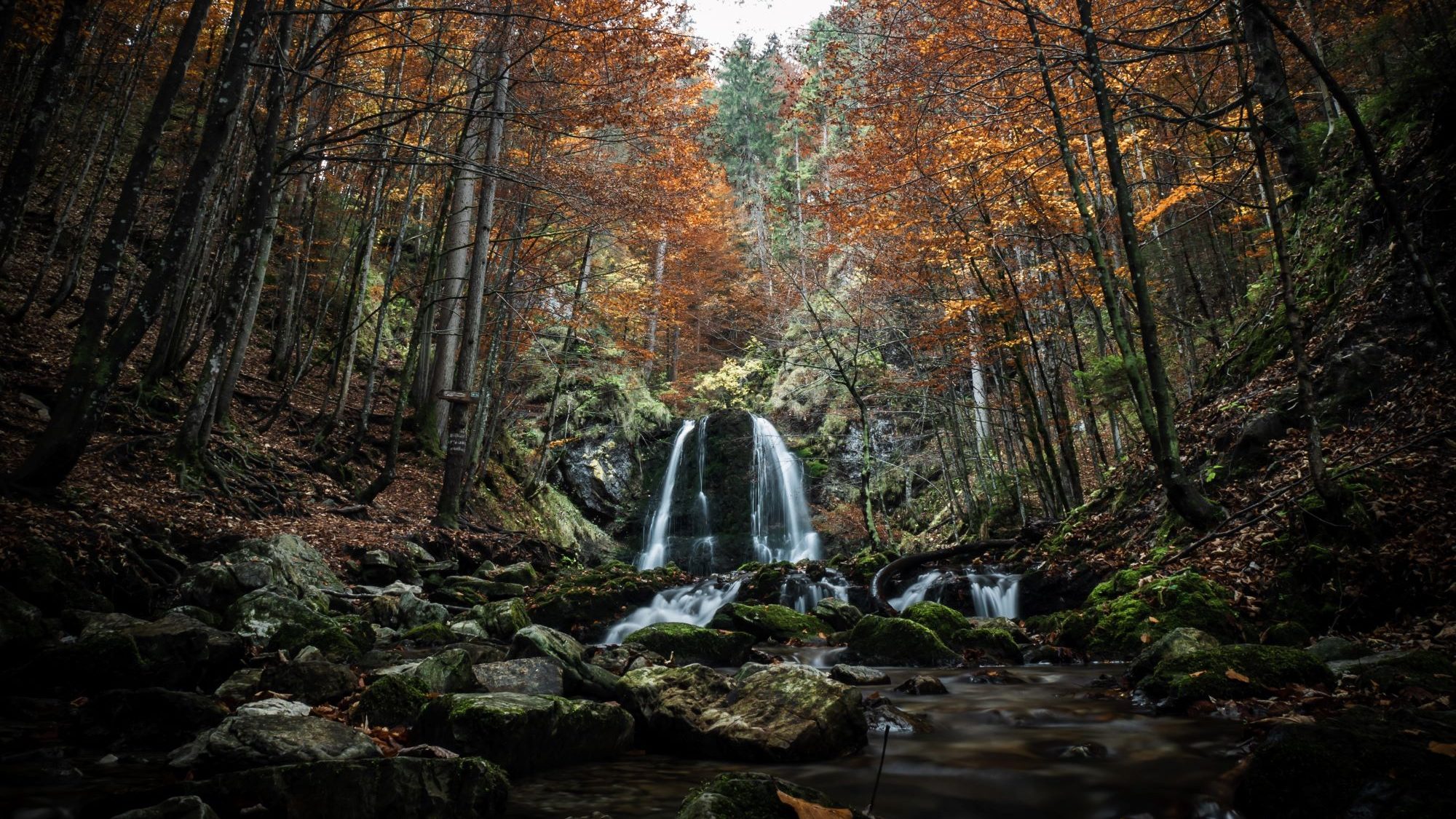 Wasserfall in einem herbstlichen Wald