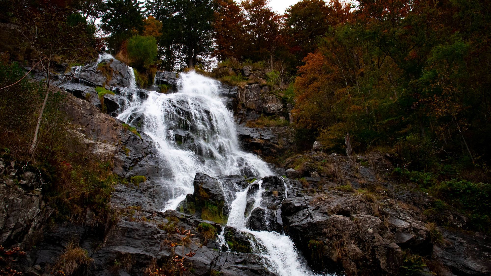 Wasserfälle Deutschland - Todtnauer Wasserfall im Herbst