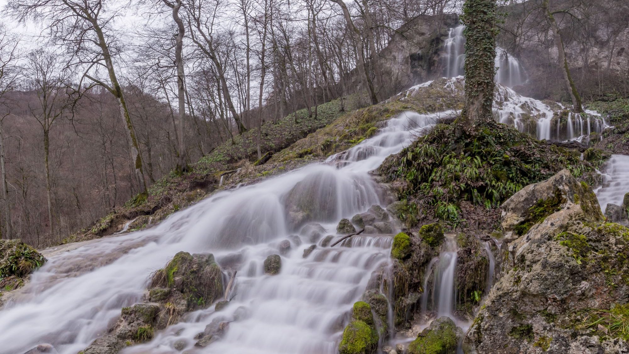 Uracher Wasserfall im Wald