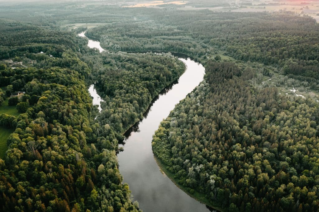 Campingplätze Lettland - Blick auf die lettische Natur mit einem Fluss zwischen dicht besiedelten Bäumen.