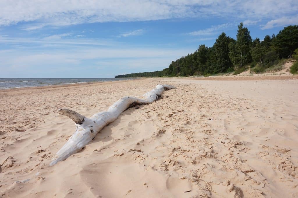 Campingplätze Lettland - Blick auf einen Strand an der Ostsee in Lettland.
